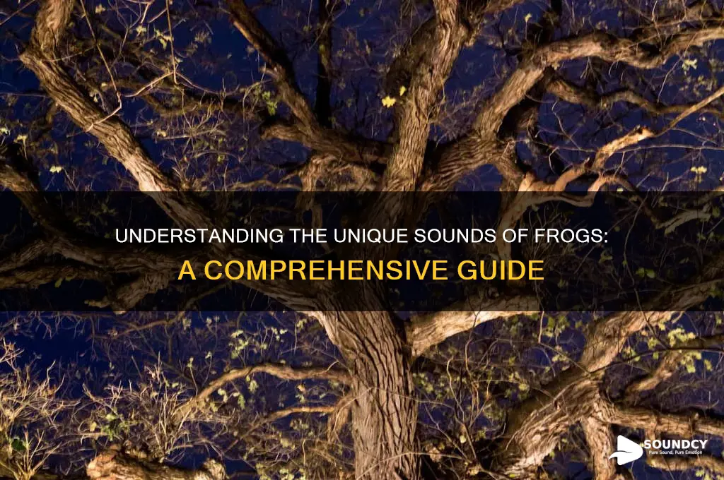 what is a frog sound