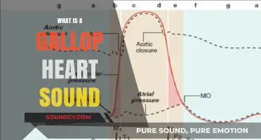 Galloping Heart: What's the Rush?