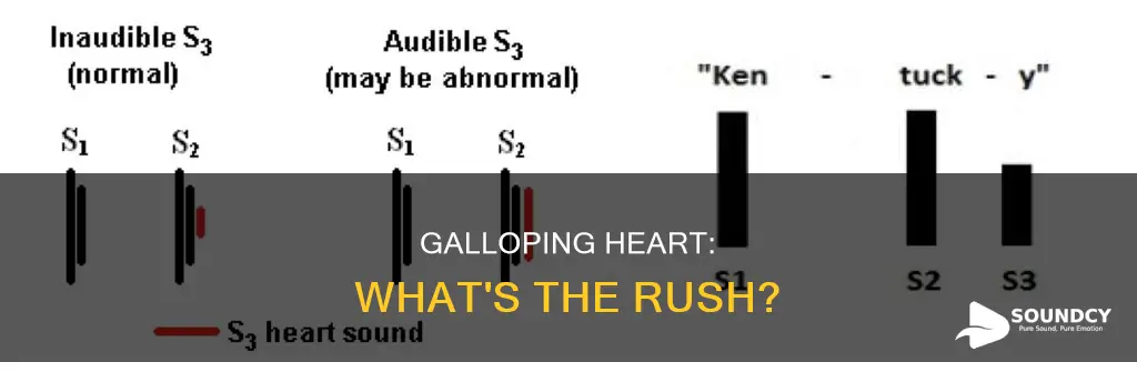 what is a gallop heart sound