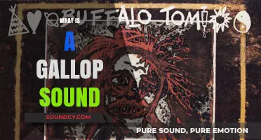 Understanding the Gallop Sound: A Comprehensive Guide to Its Meaning