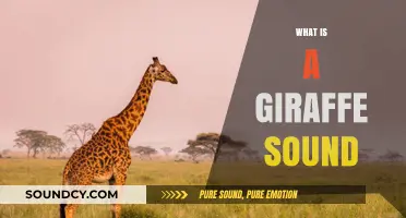 Unveiling the Unique and Mysterious Vocalizations of Giraffes