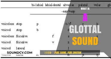 Understanding Glottal Sounds: Definition, Examples, and Role in Speech