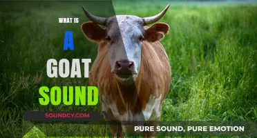 Understanding the Unique Vocalizations: What is a Goat Sound?