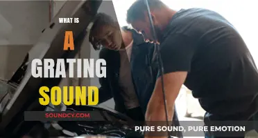 Understanding the Annoying, Grating Sound: Causes and Effects Explained