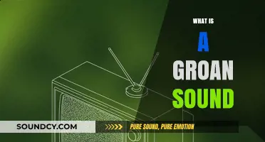 Understanding the Groan Sound: Causes, Meanings, and Cultural Significance