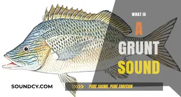 Understanding the Grunt Sound: Origins, Meanings, and Cultural Significance