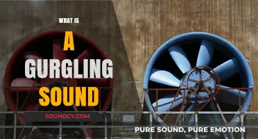 Understanding the Causes and Meanings of a Gurgling Sound