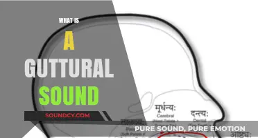Understanding Guttural Sounds: Origins, Examples, and Linguistic Significance