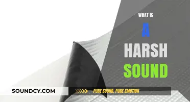 Understanding Harsh Sounds: Causes, Effects, and How to Mitigate Them