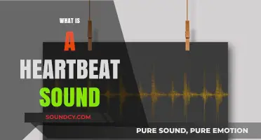 Understanding the Rhythm: What is a Heartbeat Sound?