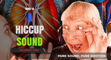 Understanding the Science Behind the Mysterious Hiccups Sound