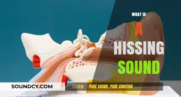 Understanding the Hissing Sound: Causes, Meanings, and Common Sources