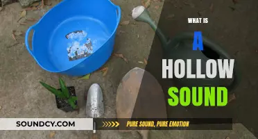 Understanding Hollow Sounds: Causes, Characteristics, and Common Examples Explained