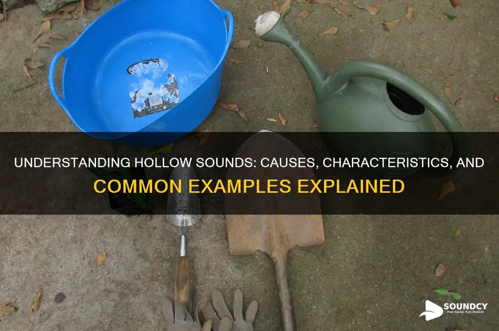 what is a hollow sound