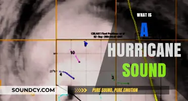 Unveiling the Eerie Roar: Understanding the Unique Sound of Hurricanes