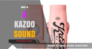 Unveiling the Unique Buzz: Understanding the Kazoo's Signature Sound