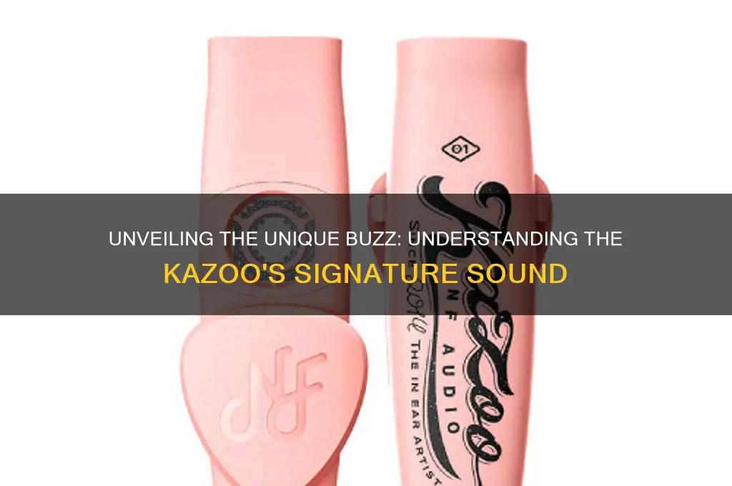 what is a kazoo sound