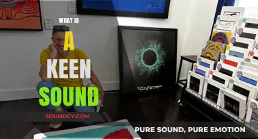 Understanding the Intricacies of a Keen Sound: A Comprehensive Guide