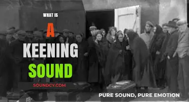 Understanding the Haunting Keening Sound: Origins, Meanings, and Cultural Significance