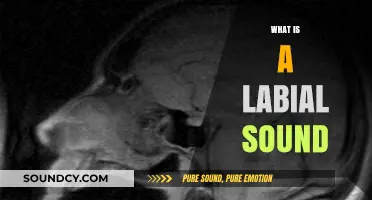 Understanding Labial Sounds: Definition, Examples, and Role in Speech