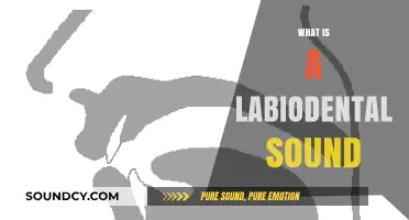 Understanding Labiodental Sounds: Definition, Examples, and How They're Produced