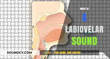 Understanding Labiovelar Sounds: A Comprehensive Guide to Their Articulation and Use