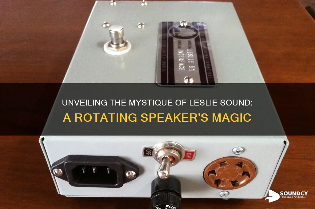 what is a leslie sound