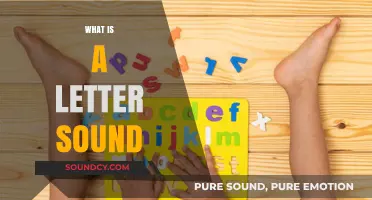 Understanding Letter Sounds: A Beginner's Guide to Phonics Basics