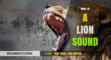 Understanding the Majestic Roar: What is a Lion's Sound?