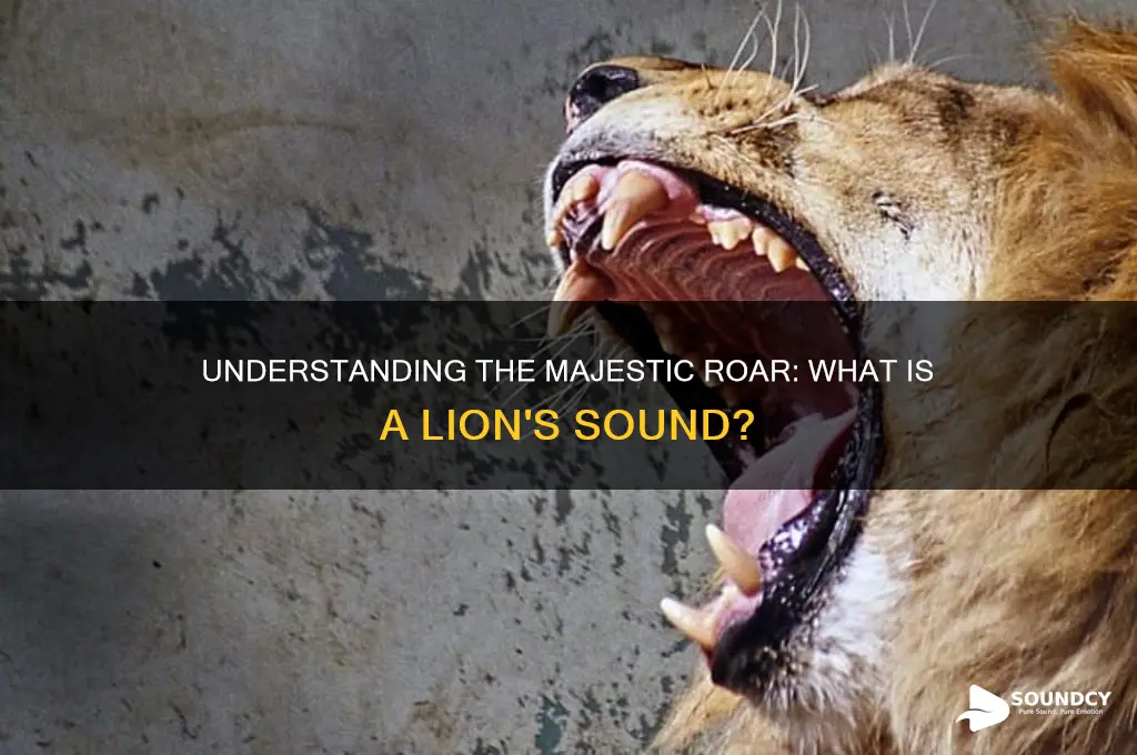 what is a lion sound