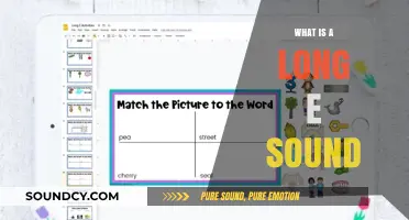 The Long E Sound: A Comprehensive Guide