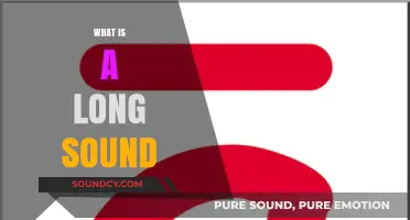 Understanding Long Sounds: Definition, Examples, and Applications in Phonetics