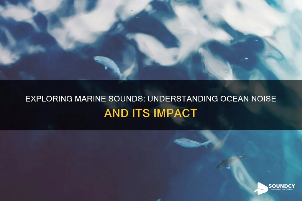 what is a marine sound