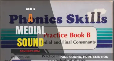 Understanding Medial Sounds: Their Role and Importance in Phonetics