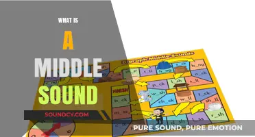 Understanding Middle Sounds: A Key to Phonemic Awareness and Reading