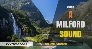 Discover Milford Sound: New Zealand's Majestic Fiordland Paradise Explained
