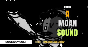 Understanding the Moan Sound: Origins, Meanings, and Cultural Interpretations