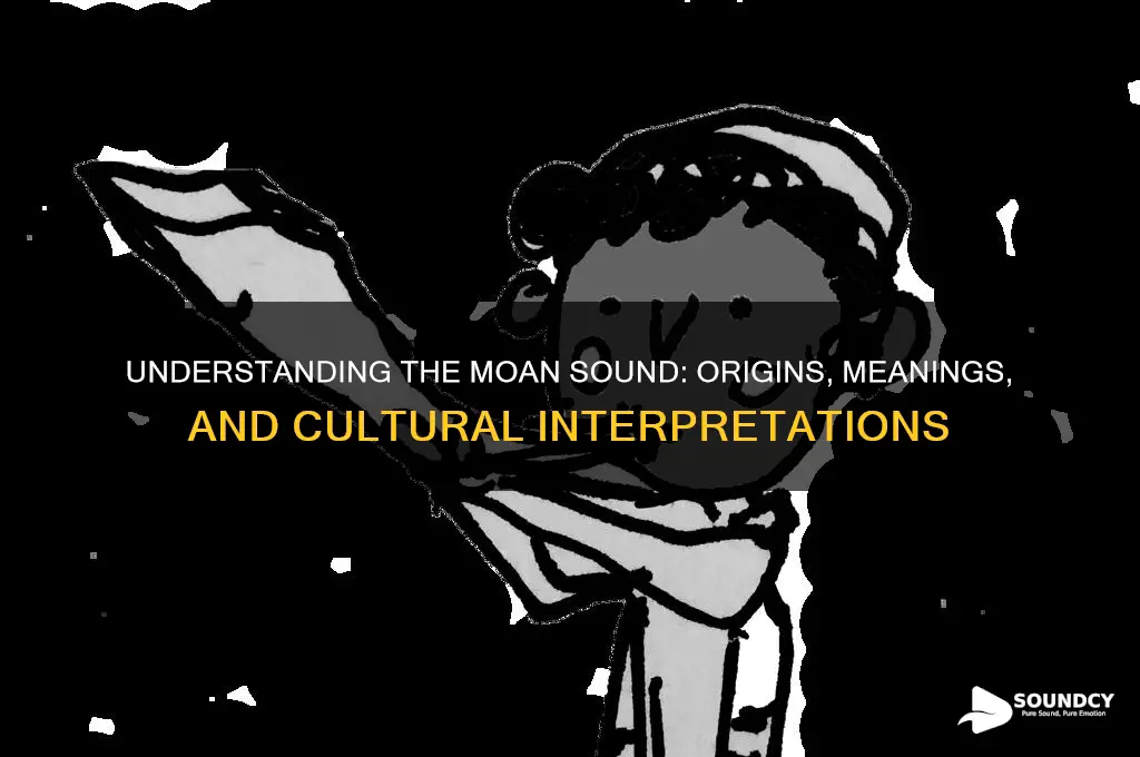 what is a moan sound
