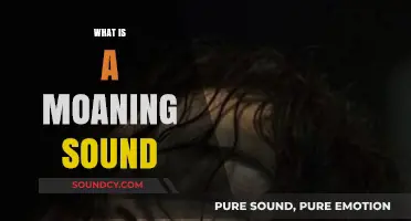 Understanding the Moaning Sound: Causes, Meanings, and Interpretations Explained