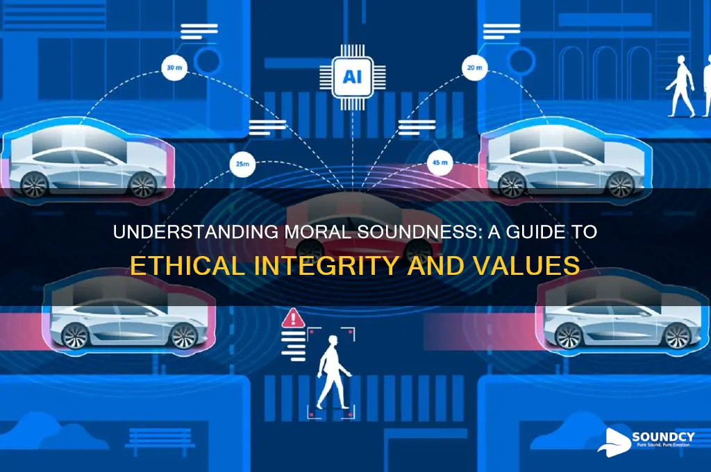 what is a moral soundness