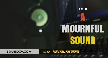 Understanding the Haunting Essence of a Mournful Sound: A Deep Dive