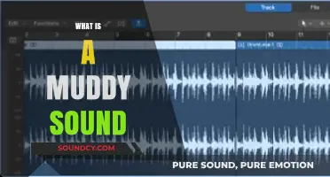 Understanding Muddy Sound: Causes, Effects, and Solutions for Clear Audio