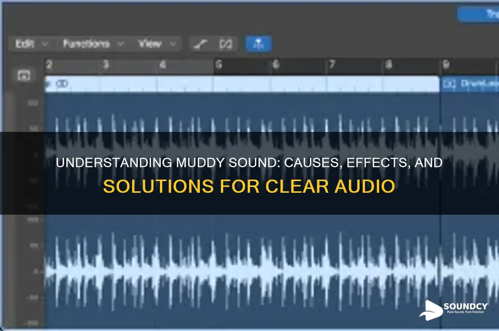 what is a muddy sound
