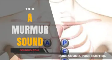 Understanding Heart Murmur Sounds: Causes, Types, and Diagnosis Explained