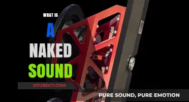 Unveiling Naked Sound: Pure Audio Without Filters or Enhancements