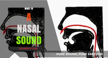 Understanding Nasal Sounds: Definition, Examples, and How They Work