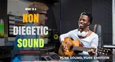 Understanding Non-Diegetic Sounds in Media