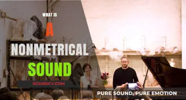 Exploring Nonmetrical Sounds: Understanding Free-Form Rhythms in Music and Speech