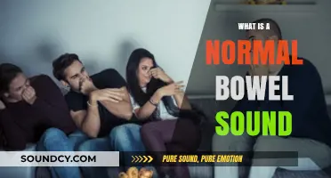 Bowel Sounds: What's Normal and What's Not