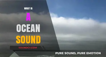 Exploring the Soothing and Mystical World of Ocean Sounds